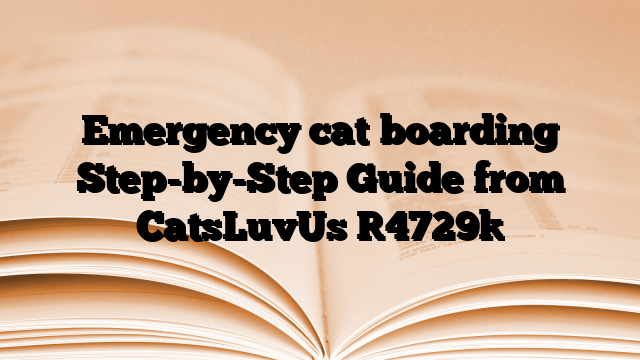 Emergency cat boarding Step-by-Step Guide from CatsLuvUs