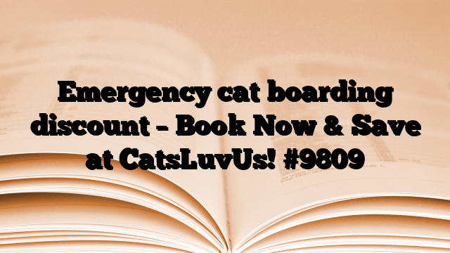 Emergency cat boarding discount – Book Now & Save at CatsLuvUs!
