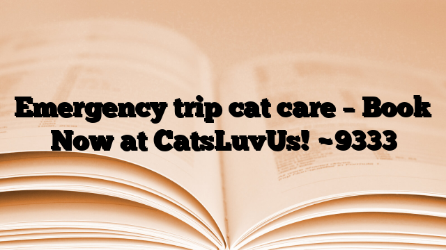 Emergency trip cat care – Book Now at CatsLuvUs!