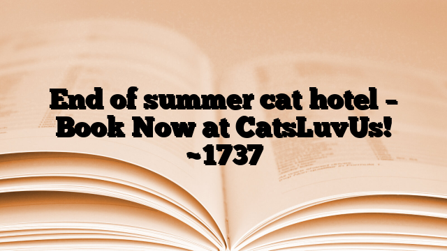 End of summer cat hotel – Book Now at CatsLuvUs!