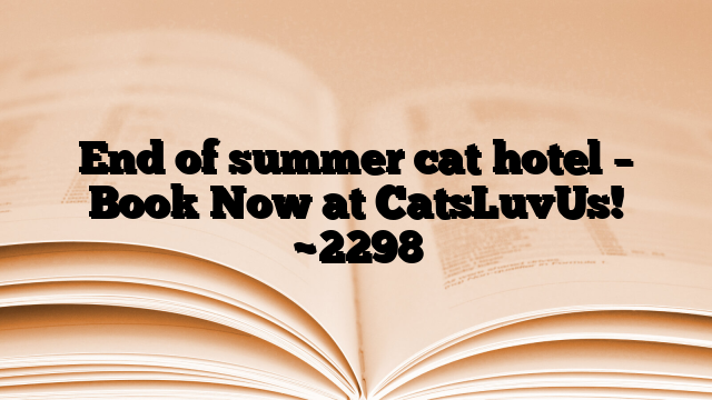 End of summer cat hotel – Book Now at CatsLuvUs!