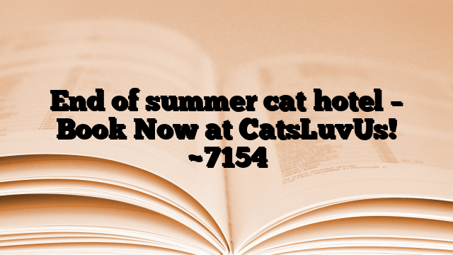 End of summer cat hotel – Book Now at CatsLuvUs!