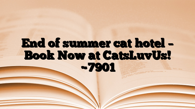 End of summer cat hotel – Book Now at CatsLuvUs!
