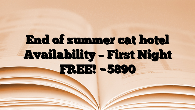 End of summer cat hotel Availability – First Night FREE!