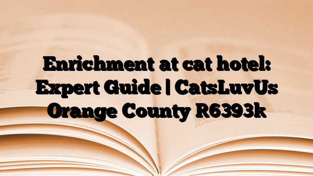 Enrichment at cat hotel: Expert Guide | CatsLuvUs Orange County