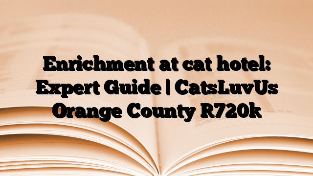Enrichment at cat hotel: Expert Guide | CatsLuvUs Orange County