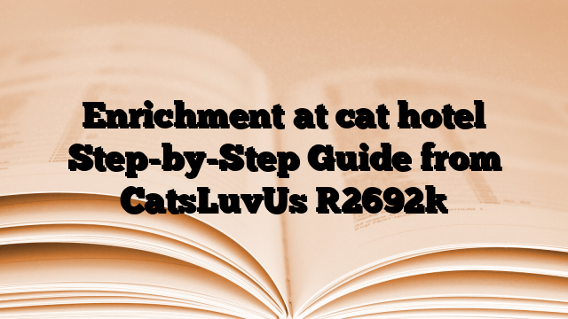 Enrichment at cat hotel Step-by-Step Guide from CatsLuvUs