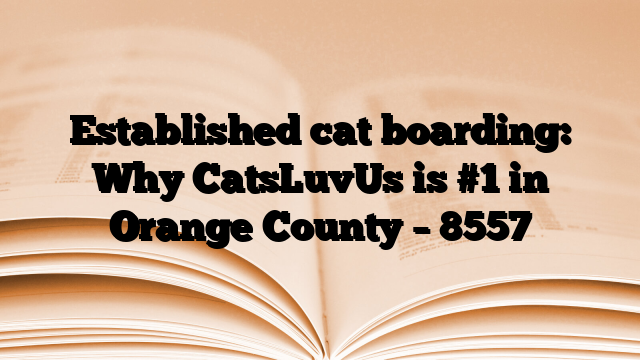 Established cat boarding: Why CatsLuvUs is #1 in Orange County