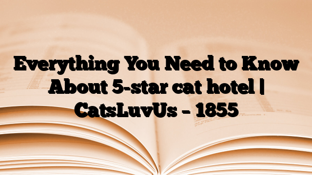 Everything You Need to Know About 5-star cat hotel | CatsLuvUs