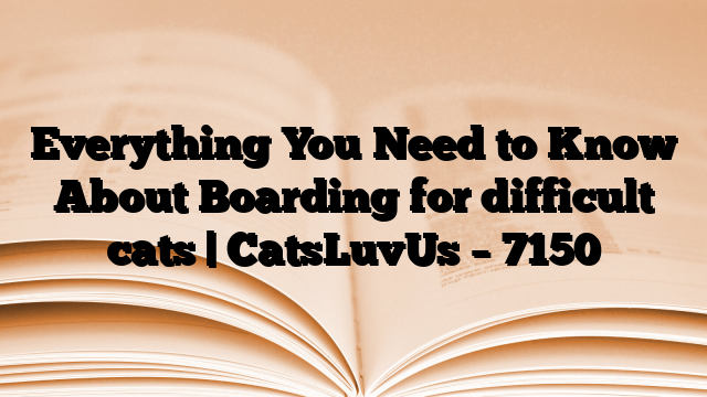 Everything You Need to Know About Boarding for difficult cats | CatsLuvUs
