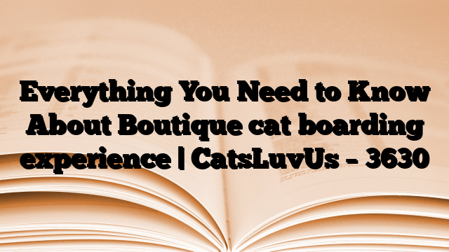 Everything You Need to Know About Boutique cat boarding experience | CatsLuvUs