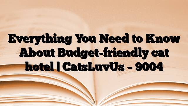 Everything You Need to Know About Budget-friendly cat hotel | CatsLuvUs