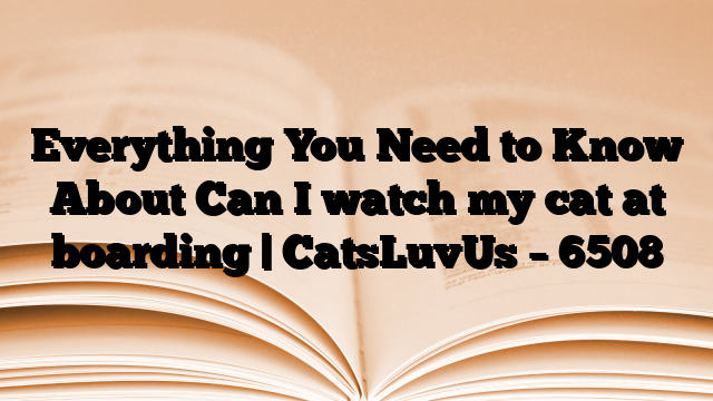 Everything You Need to Know About Can I watch my cat at boarding | CatsLuvUs