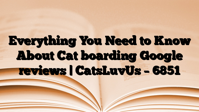 Everything You Need to Know About Cat boarding Google reviews | CatsLuvUs