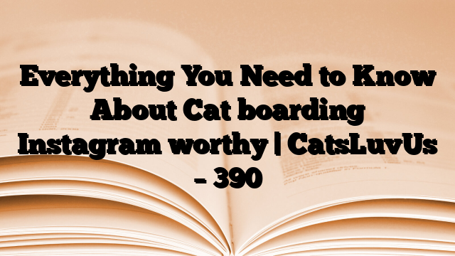 Everything You Need to Know About Cat boarding Instagram worthy | CatsLuvUs