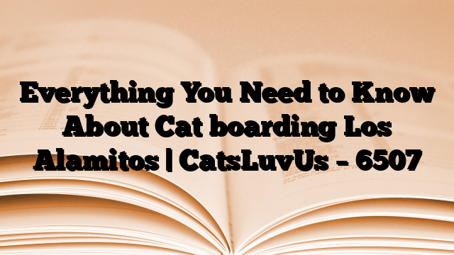 Everything You Need to Know About Cat boarding Los Alamitos | CatsLuvUs
