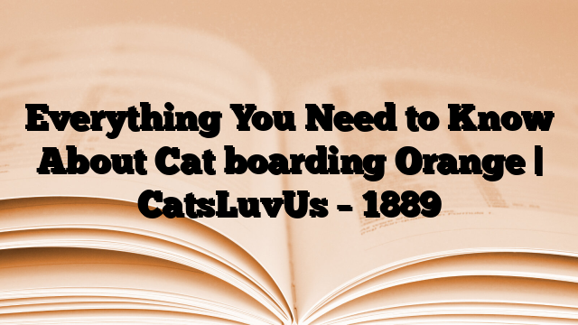 Everything You Need to Know About Cat boarding Orange | CatsLuvUs