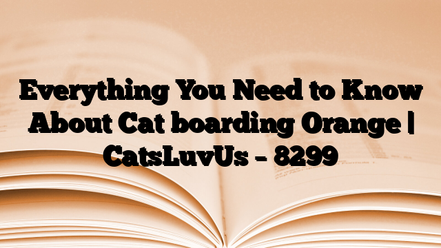 Everything You Need to Know About Cat boarding Orange | CatsLuvUs