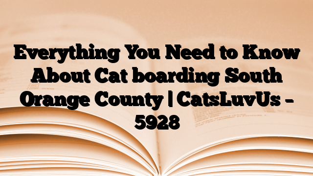 Everything You Need to Know About Cat boarding South Orange County | CatsLuvUs