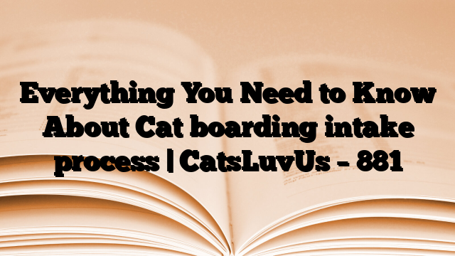 Everything You Need to Know About Cat boarding intake process | CatsLuvUs