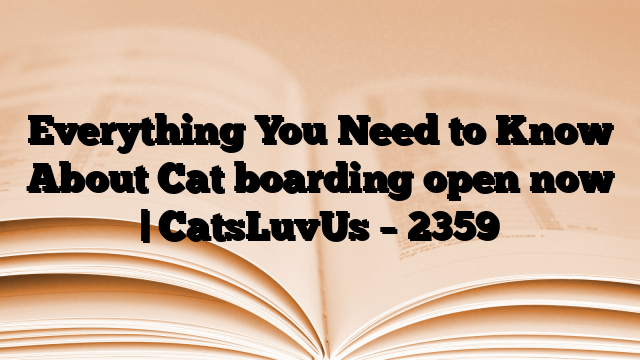 Everything You Need to Know About Cat boarding open now | CatsLuvUs