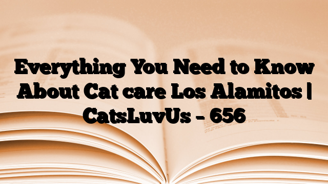 Everything You Need to Know About Cat care Los Alamitos | CatsLuvUs