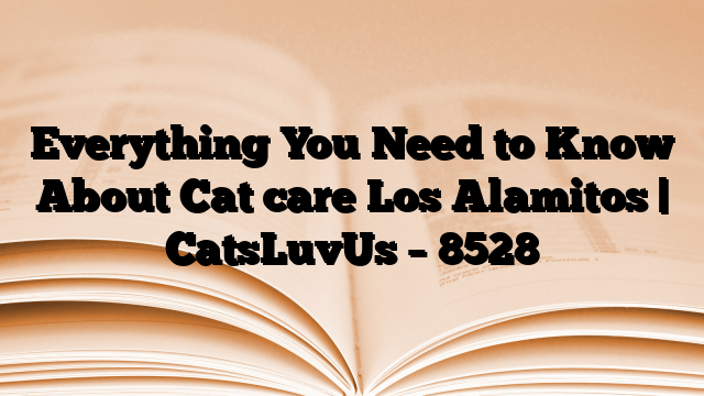 Everything You Need to Know About Cat care Los Alamitos | CatsLuvUs