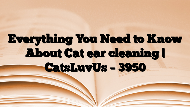 Everything You Need to Know About Cat ear cleaning | CatsLuvUs