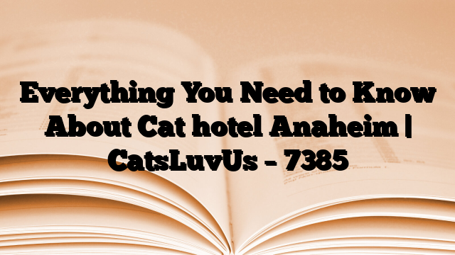 Everything You Need to Know About Cat hotel Anaheim | CatsLuvUs