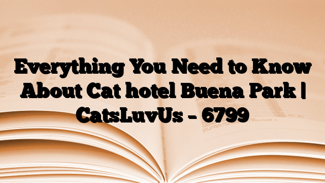 Everything You Need to Know About Cat hotel Buena Park | CatsLuvUs