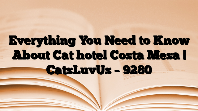 Everything You Need to Know About Cat hotel Costa Mesa | CatsLuvUs
