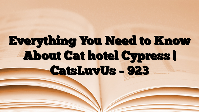 Everything You Need to Know About Cat hotel Cypress | CatsLuvUs