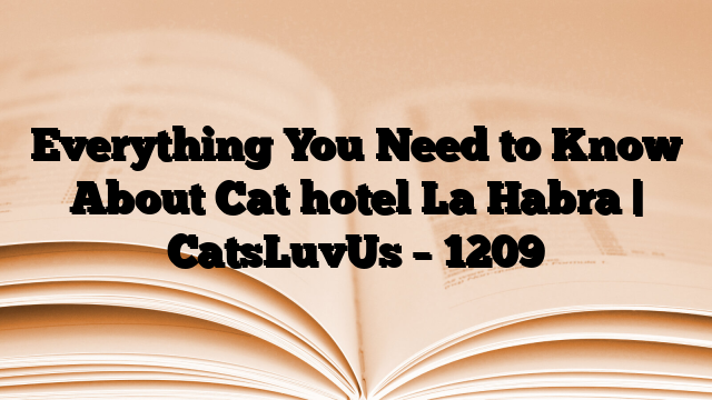 Everything You Need to Know About Cat hotel La Habra | CatsLuvUs