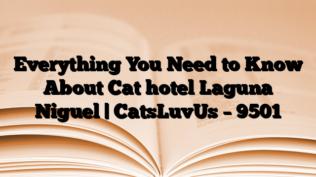 Everything You Need to Know About Cat hotel Laguna Niguel | CatsLuvUs