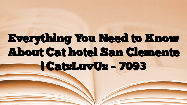 Everything You Need to Know About Cat hotel San Clemente | CatsLuvUs