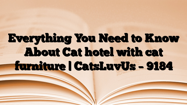 Everything You Need to Know About Cat hotel with cat furniture | CatsLuvUs