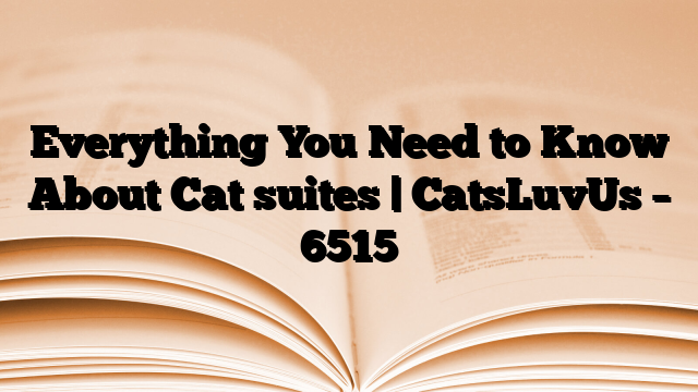 Everything You Need to Know About Cat suites | CatsLuvUs