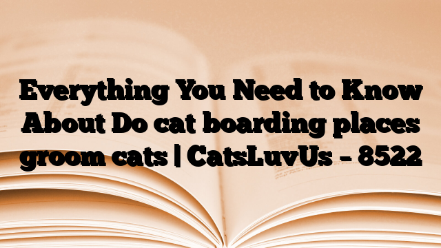 Everything You Need to Know About Do cat boarding places groom cats | CatsLuvUs