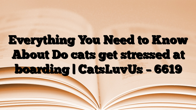 Everything You Need to Know About Do cats get stressed at boarding | CatsLuvUs