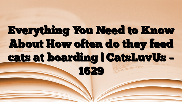 Everything You Need to Know About How often do they feed cats at boarding | CatsLuvUs