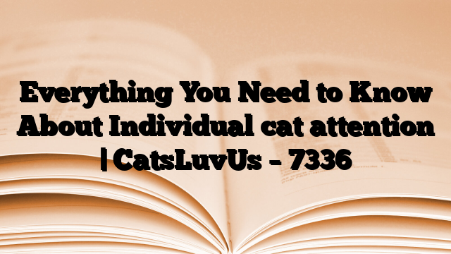 Everything You Need to Know About Individual cat attention | CatsLuvUs
