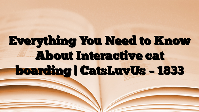 Everything You Need to Know About Interactive cat boarding | CatsLuvUs