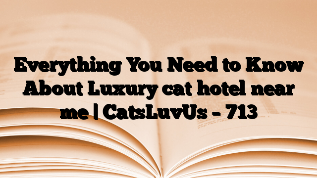Everything You Need to Know About Luxury cat hotel near me | CatsLuvUs