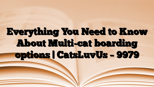 Everything You Need to Know About Multi-cat boarding options | CatsLuvUs