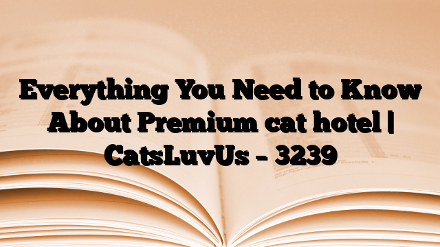 Everything You Need to Know About Premium cat hotel | CatsLuvUs