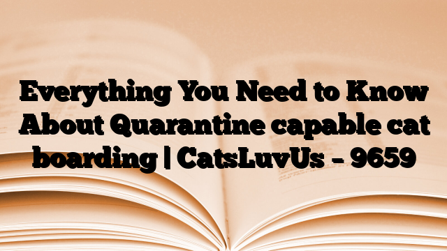 Everything You Need to Know About Quarantine capable cat boarding | CatsLuvUs
