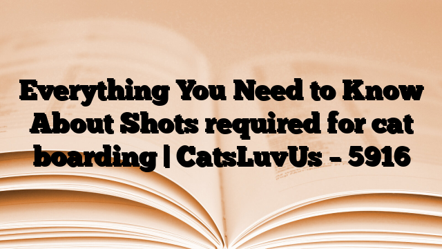 Everything You Need to Know About Shots required for cat boarding | CatsLuvUs
