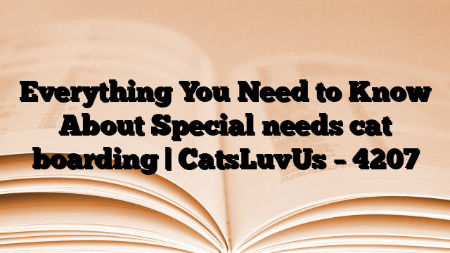 Everything You Need to Know About Special needs cat boarding | CatsLuvUs