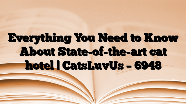 Everything You Need to Know About State-of-the-art cat hotel | CatsLuvUs