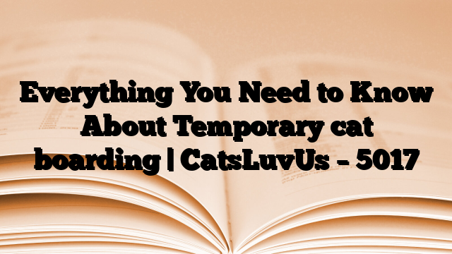 Everything You Need to Know About Temporary cat boarding | CatsLuvUs